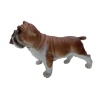Soft Köpekler - Amerikan Bulldog Cinsi Köpek - E013