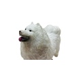 Soft Köpekler - Samoyed Cinsi Köpek  - E013
