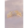 Gold Renk Yıldız Model Zirkon Taşlı Kadın Küpe - BJ-BKP7159