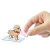 Barbie ve Köpekçikleri Oyun Seti - HKD86