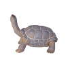 Vahşi Hayvanlar Serisi - E033-Kaplumbağa