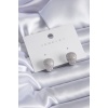 Gümüş Renk Zirkon Taşlı Pirinç Kadın Küpe - BJ-BKP7839