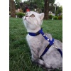 Ayarlanabilir Kedi Tasması TGNR-767