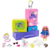 Barbie ve Hayvan Dostlarının Seyahat Maceraları - HDY91