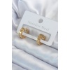 316L Çelik Gold Renk Cartier Model Kadın Küpe - BJ-BKP8034