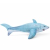 Gerçek Köpekbalığı Hayvan Binici - 41405