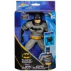 Batman Yüzme Arkadaşları - 6067008