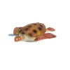 Deniz Hayvanları Serisi - E022-CarettaKaplumbağa