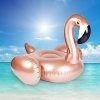 Dev Flamingo Binici Rose Gold 192x180 Cm Bermuda - 1710018