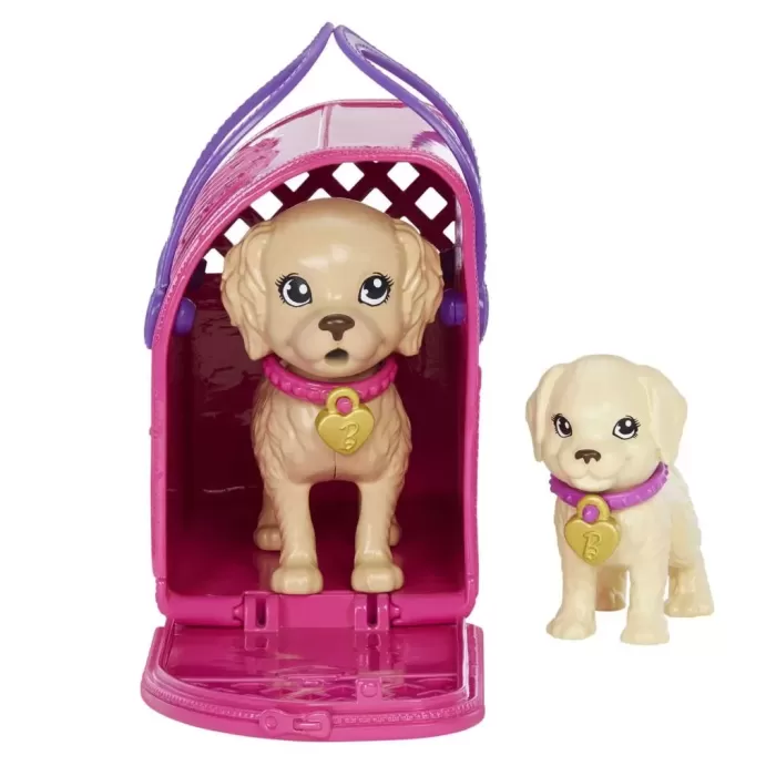Barbie ve Köpekçikleri Oyun Seti - HKD86