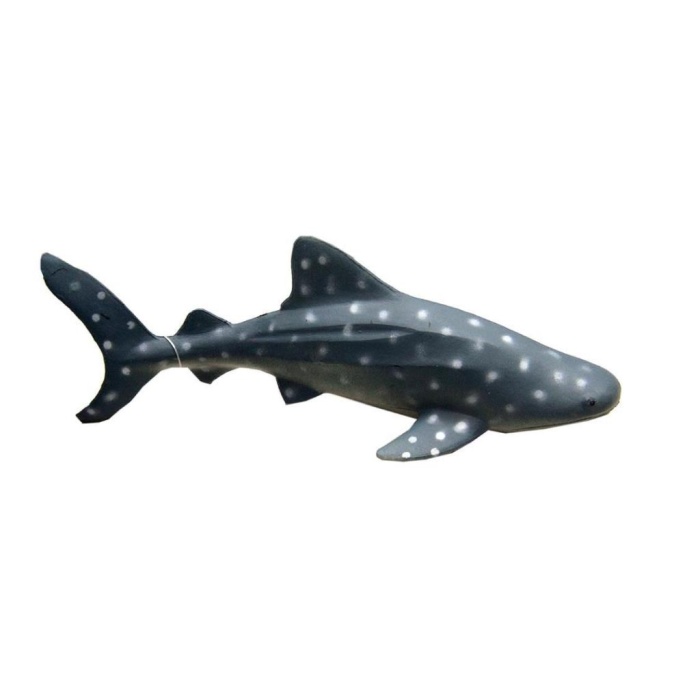 Deniz Hayvanları Serisi - HY4689-BenekliKöpekbalığı