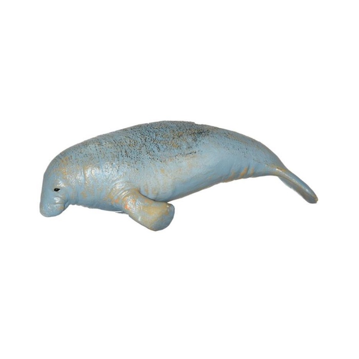 Deniz Hayvanları Serisi - E022-DenizAyısı
