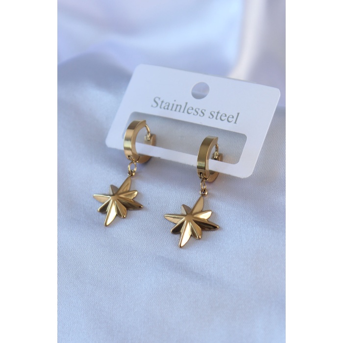316L Çelik Gold Renk Kutup Yıldızı Model Kadın Küpe - BJ-BKP7739