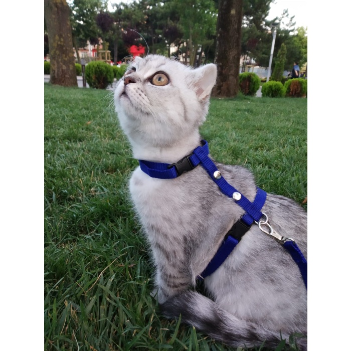 Ayarlanabilir Kedi Tasması TGNR-767