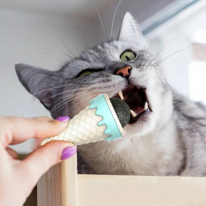 Dondurma şekli̇nde Kedi̇ Nanesi̇ Kedi̇ Otu
