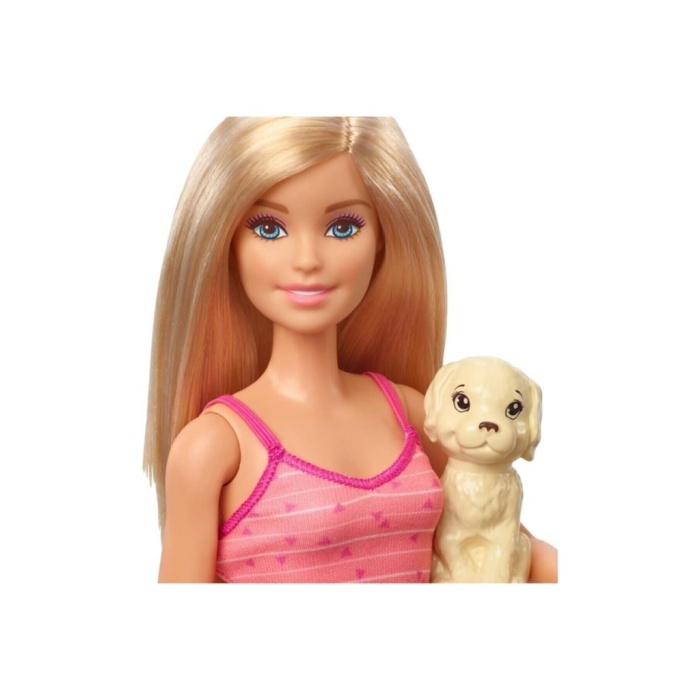 Barbie Bebek ve Aksesuarları 3 Yavru Köpekli Oyun Seti Mattel Lisanslı - GDJ37
