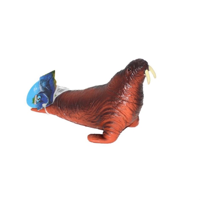 Deniz Hayvanları Serisi - E022-DişliFokBalığı