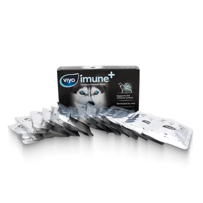 VIYO IMUNE DOG
