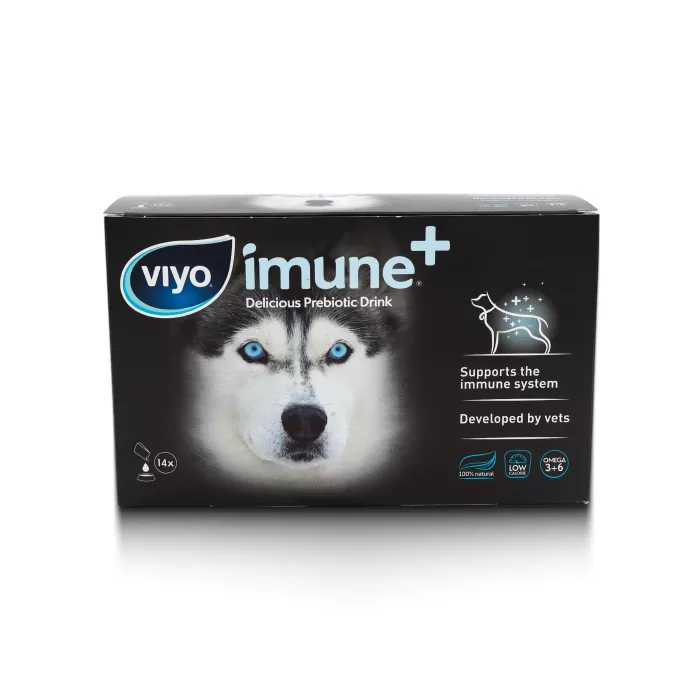 VIYO IMUNE DOG