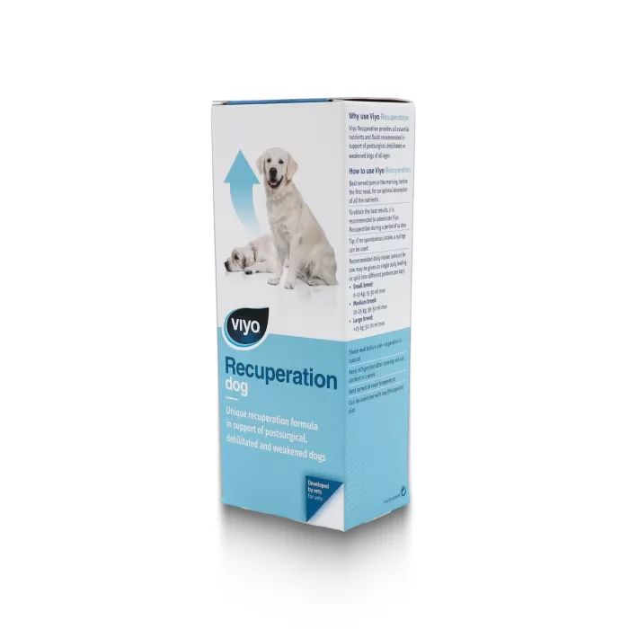 VIYO RECUPERATION DOG