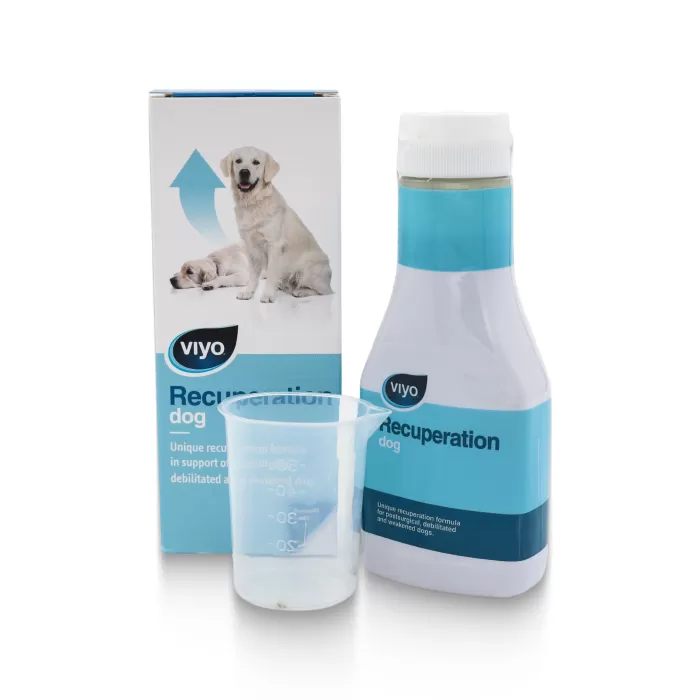 VIYO RECUPERATION DOG
