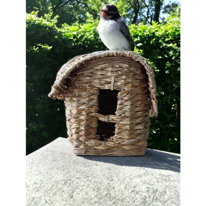 Kuş Yuvası , İki Katlı Finch , Bülbül Yuvası