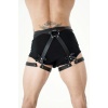 Fiyonklu Erkek Bel Ve Bacak Deri Harness - APFTM89