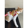 Sarı Kırmızı Fanatik Kedi Göğüs Tasması, Fanatik Kedi Gezdirme Tasması - NPC014