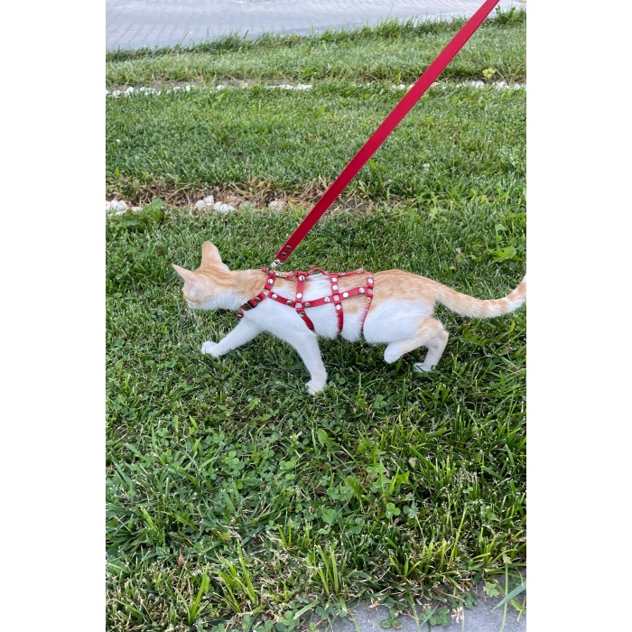 Full Body Kedi Harness, Kedi Gezdirme Tasması, Kedi Sokak Tasması - NPC011