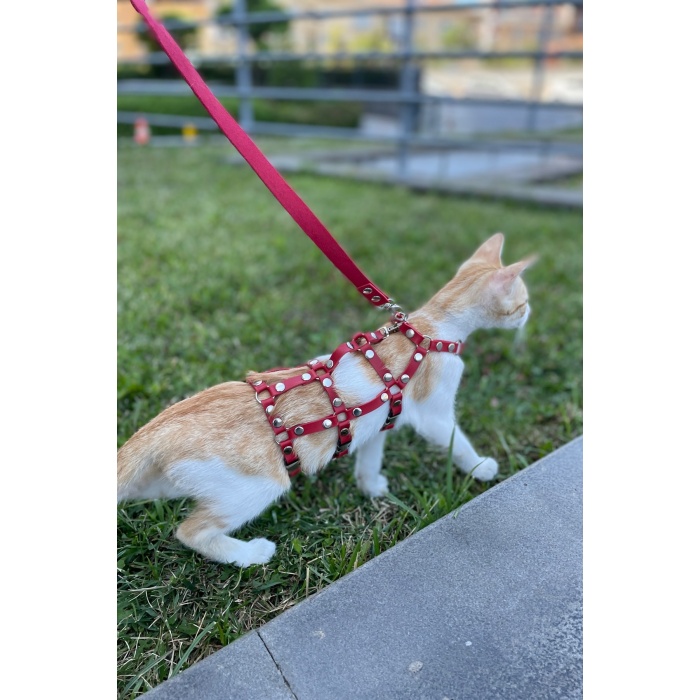 Full Body Kedi Harness, Kedi Gezdirme Tasması, Kedi Sokak Tasması - NPC011