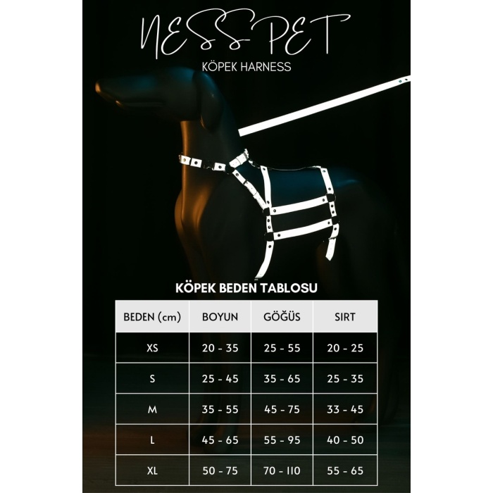 Güvenlik Öncelikli Köpek Tasması, Reflektörlü Şık Köpek Boyun Tasması - NPD011