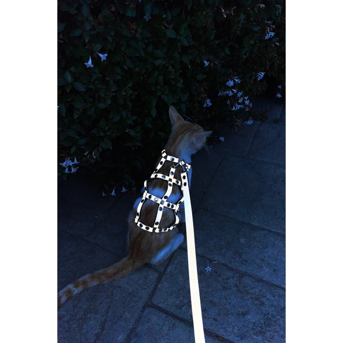Karanlıkta Parlayan Reflektörlü Şık Kedi Harness, Kedi Yürüme Tasması, Kedi Güvenlik Tasması - NPC011