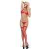 Transparan Kırmızı Seksi İç Giyim TM1263