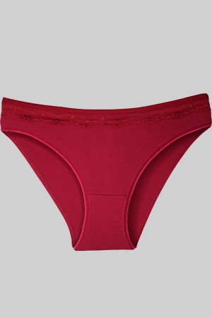 Gümüş Kırmızı Üstü Dantelli Slip Bayan Külot TM621