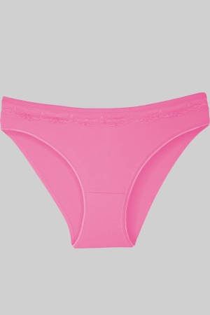 Gümüş Açık Pembe Üstü Dantelli Slip Bayan Külot TM621