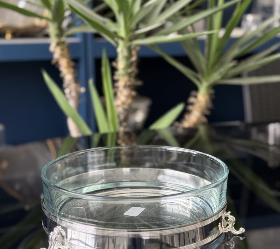 PLAIN MODEL 25CM GLASS BOWL