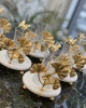 GINGKO DECOR MARBLE 6PCS TEA CUPS