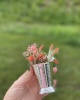 LINE DECOR MINI VASE / SPOON HOLDER