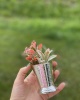 LINE DECOR MINI VASE / SPOON HOLDER