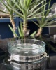 PLAIN MODEL 25CM GLASS BOWL