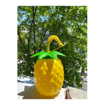 Ananas Pipetli Suluk