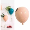 3Lü Balon Duvar Aksesuarı Saksı 2 Şeker Pembesi 1 Mavi Özel Tasarım