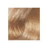 2 li Set Premium 10.01 Ekstra Doğal Küllü Platin - Kalıcı Krem Saç Boyası 2 X 50 g Tüp