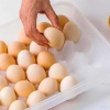 30 lu Yumurta Saklama Kabı