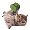 Mini Silindir Eğlenceli Renkli Sağlam Küçük Pati İzi Şekilli Kedi Oyuncağı