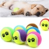 3 lü Renkli Desenli Tenis Topu Kedi Köpek Oyuncağı