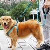 Reflektörlü Fosforlu Köpek Gezdirme Halatı Tasma Kayışı Metal Kancalı 130 cm