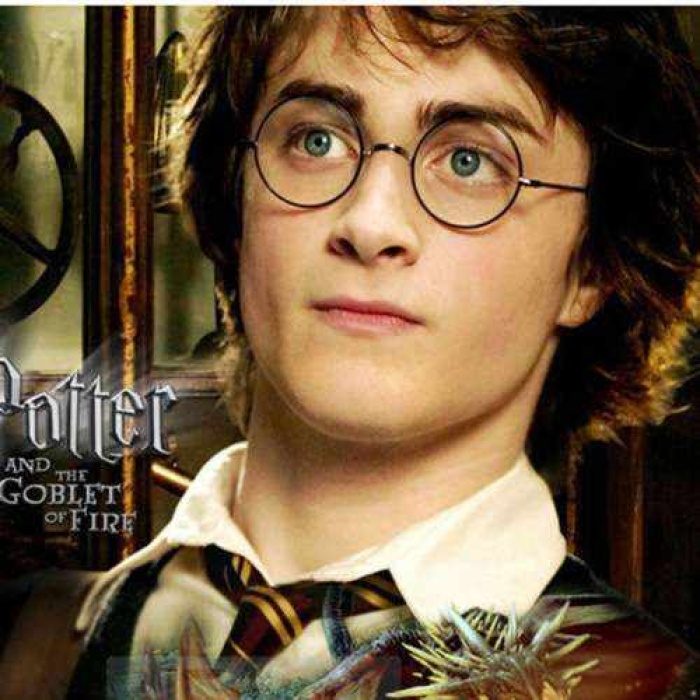 Harry Potter Yuvarlak Gözlüğü