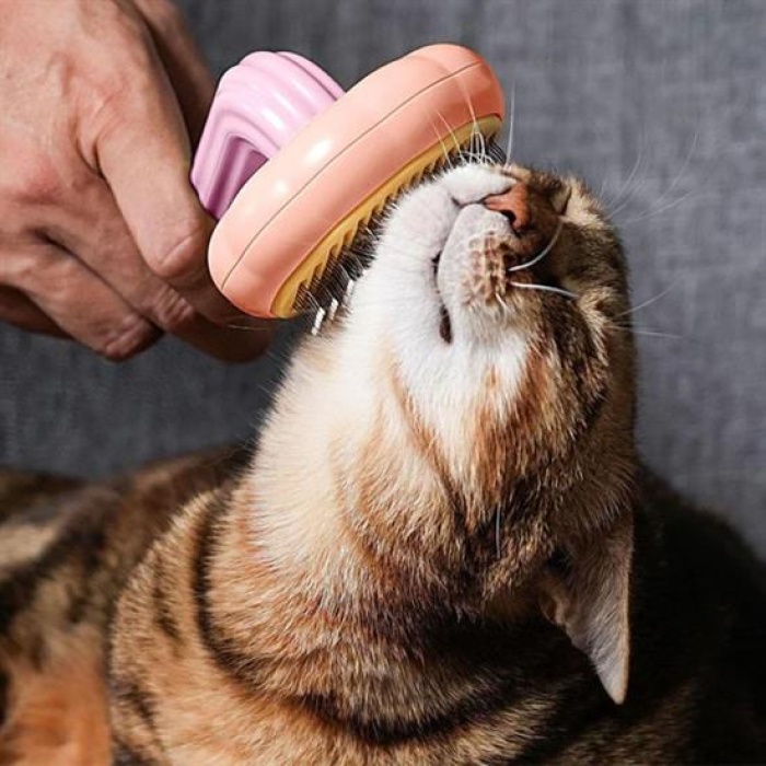 Plastik Pembe Evcil Hayvan Bakım  Pet Fırçası Çok Amaçlı Pet Fırçası Pembe