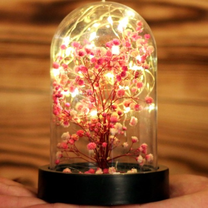 Led Işıklı Mini Ağaç Fanus Teraryum 4